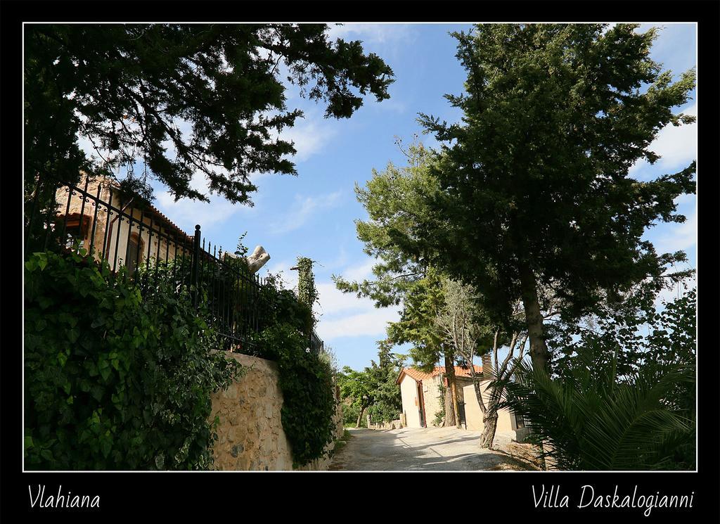Villa Daskalogianni Vlakhiana Exterior photo