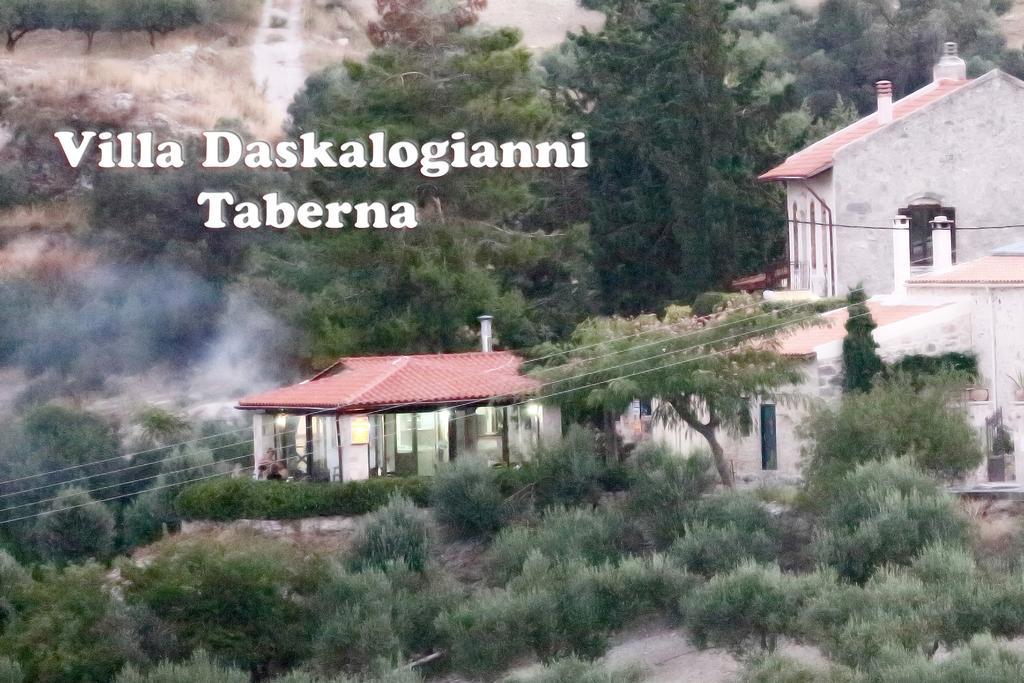 Villa Daskalogianni Vlakhiana Exterior photo